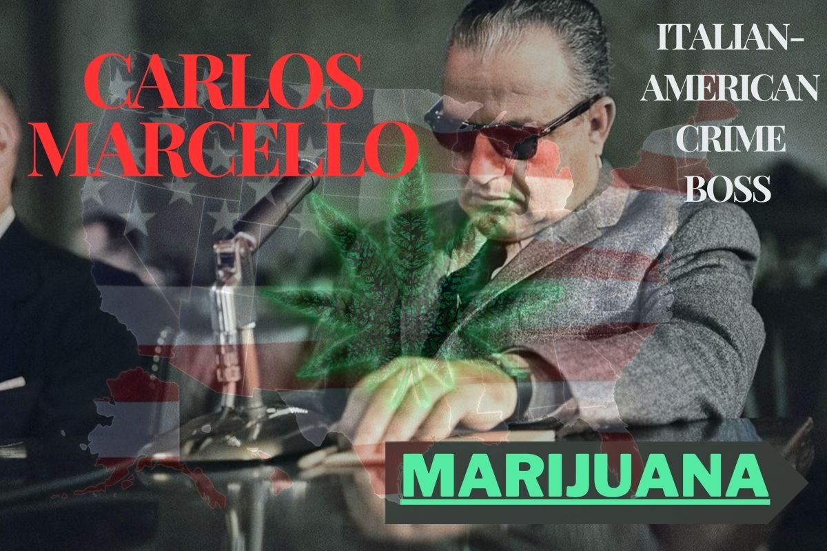 marijuana carlos marcello